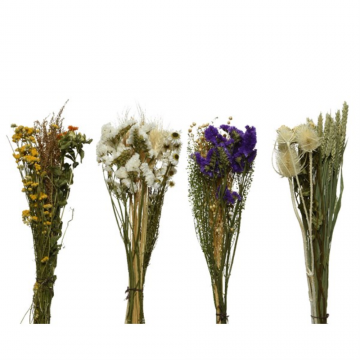 Bouquet de fleurs séchées sur tige