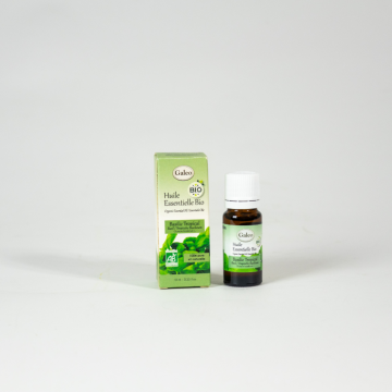 Huile Essentielle BIO 10ML - Basilic Tropical