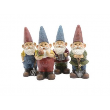 Gnome