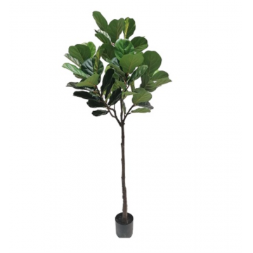 Ficus Lyrata artificiel, hauteur 210 cm, diamètre 100 cm