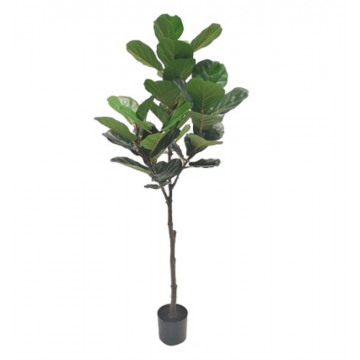 Ficus Lyrata artificiel, hauteur 180 cm, diamètre 90 cm