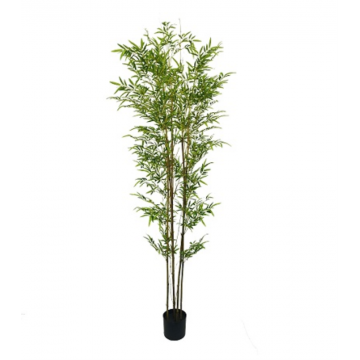 Bambou 220 cm