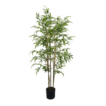 Bambou 150 cm