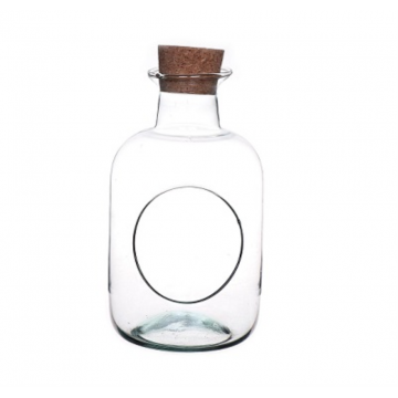 Terrarium bouteille avec bouchon D14 x H25