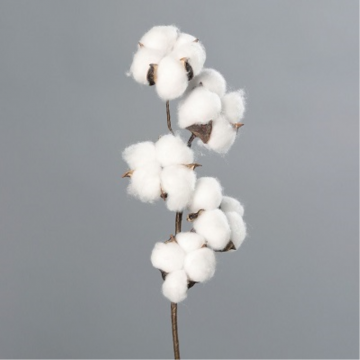 Branche de coton 49cm