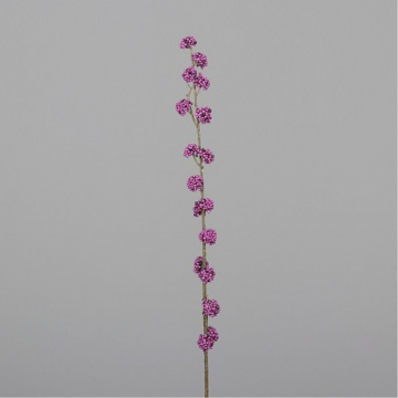Callicarpe lilas 103cm