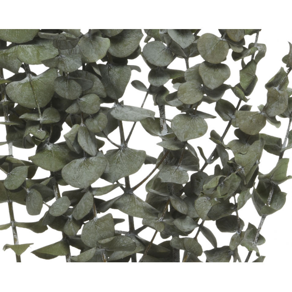 Bouquet D'Eucalyptus Séché à Suspendre - 10 Branches Naturelles Pour Douche Et Décoration