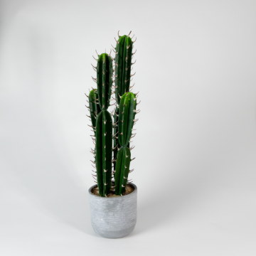 Cactus artificiel en pot