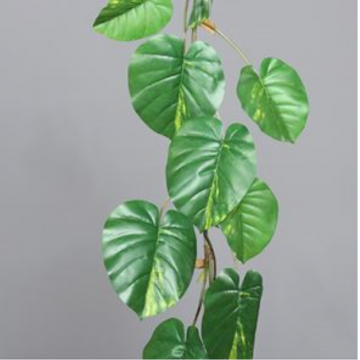 Pothos artificiel en guirlande, longueur 180cm