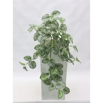 Peperomia watermelon artificiel, 71 cm
