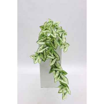 Syngonium artificiel 91 cm