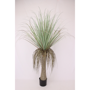 Beaucarnea artificiel en pot 164 cm
