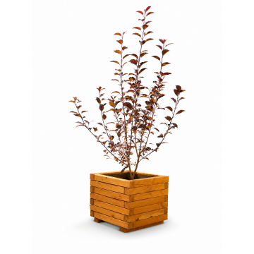 Bac Carré mélèze huilé 40x40xH.36 FSC 100% / 7 madriers : 4.5x4.5 cm