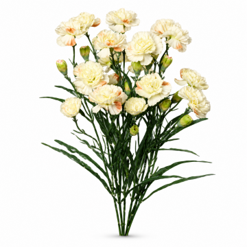 Oeillets  artificiel de couleur blanche, hauteur 48cm