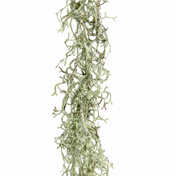 Tillandsia artificiel, guirlande automne, 90cm