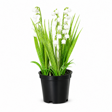 Muguet artificiel en pot plastique 20cm