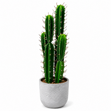Cactus artificiel en pot