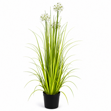 Graminée artificielle Allium, pot en plastique, H122cm