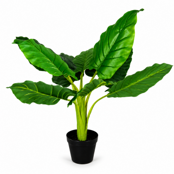 Alocasia artificiel, H85cm