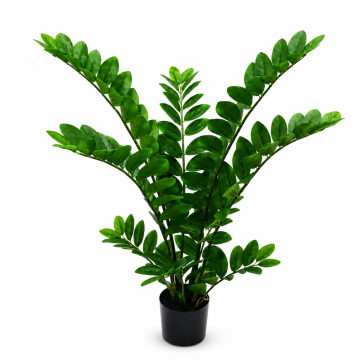 Zamioculcas en pot 91 cm
