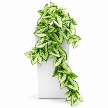 Syngonium artificiel 91 cm