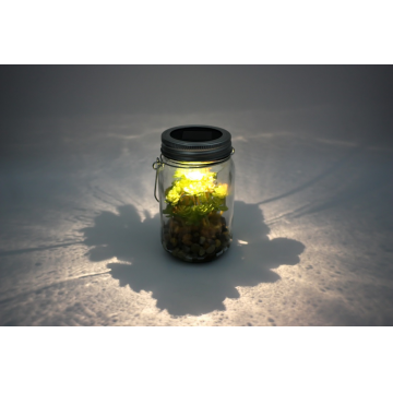 Bocal LED solaire avec décoration plante artificielle, blanc chaud, D8cm / H14cm