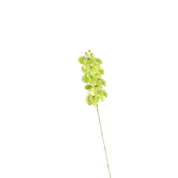 Branche d´orchidée artificielle, 9 fleurs jaunes L100cm