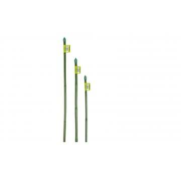 Tuteur en bambou plastifié vert h  180 cm   ø 14/16 mm