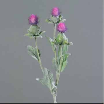 Chardon avec 3 fleurs / 55 cm / Fuchsia