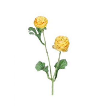 Renoncule avec 2 fleurs, couleur jaune, hauteur 38cm