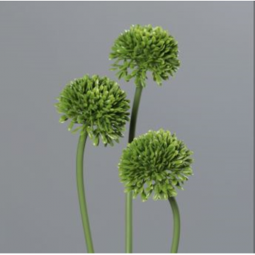 Allium, set de 3, couleur verte, hauteur 34cm