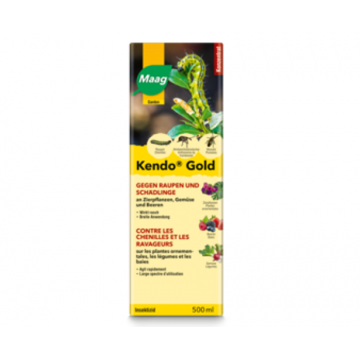 Kendo Gold