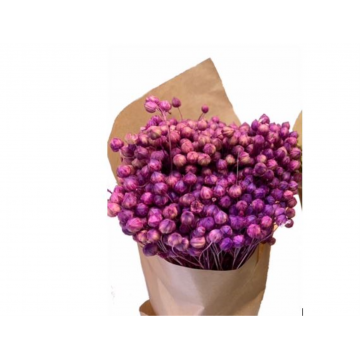 Bouquet de fleurs de lin séché rose