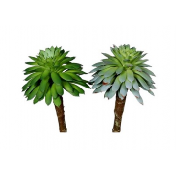 Succulente artificiels, 11cm, assortiment de 2 pièces