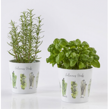 Cache-pot 78 Dallas Culinary D14 / herbes culinaires