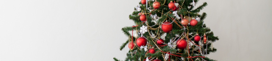 Sapins de Noël