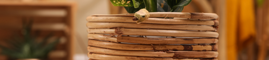 Pots en bois