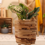 Pots en bois