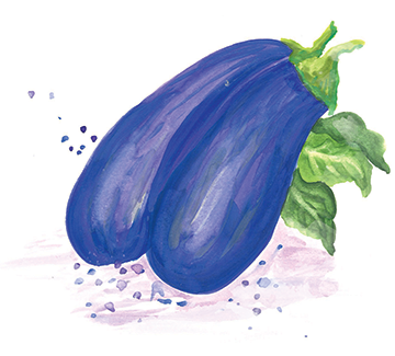 Aubergine