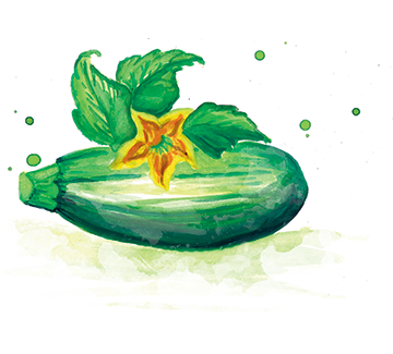 Courgette