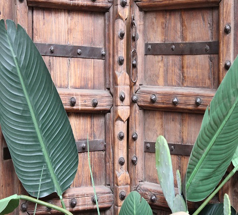 Point Vert Sa Plantes Materiel De Jardinage Et Decoration
