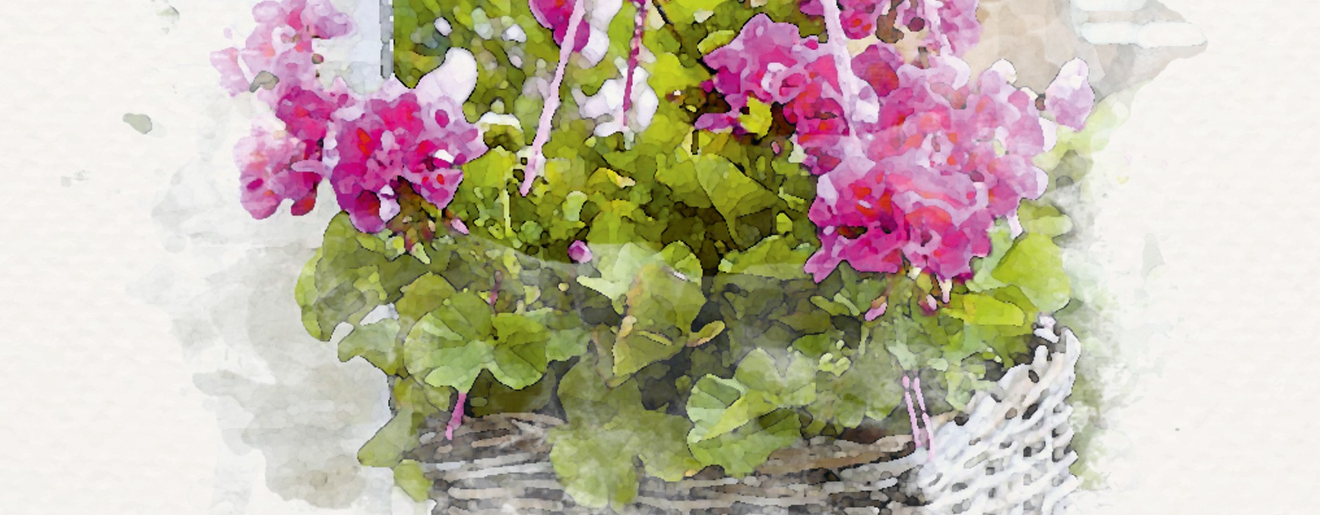 Plantation D Une Jardiniere Fleurie